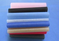 梁园涤纶（PET）无纺布是什么